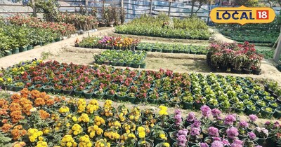 फूल की खेती 