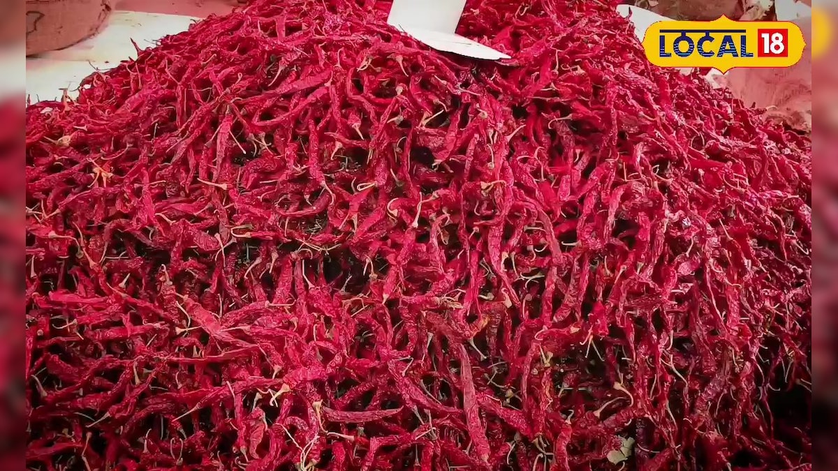 करौली का 'माल मेला': जहाँ मिर्च के लिए मचती है लूट, 3 दिन में व्यापारी बन जाते हैं मालामाल