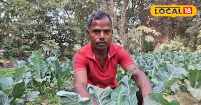 फूलगोभी की बाजार में रहती है काफी डिमांड