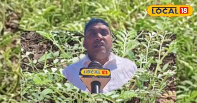 गर्मी में हरी सब्जियों की डिमांड बढ़ जाती है.