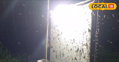 लाइट ट्रैप से कीटों का सफाया: किसानों की फसलें अब रसायन मुक्त होंगी.