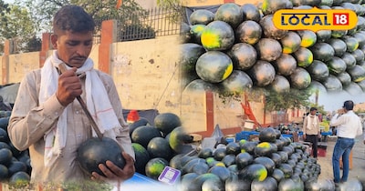 भीलवाड़ा तरबूज बाजार अपडेट