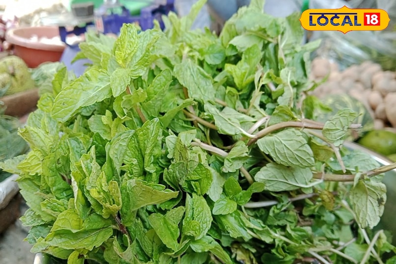 घर पर आसानी से उगाएं 