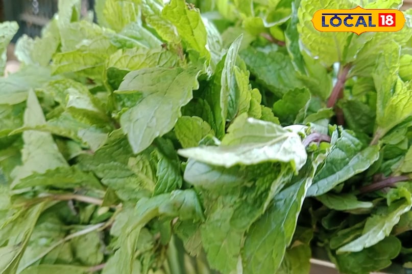 हल्की धूप और नमी