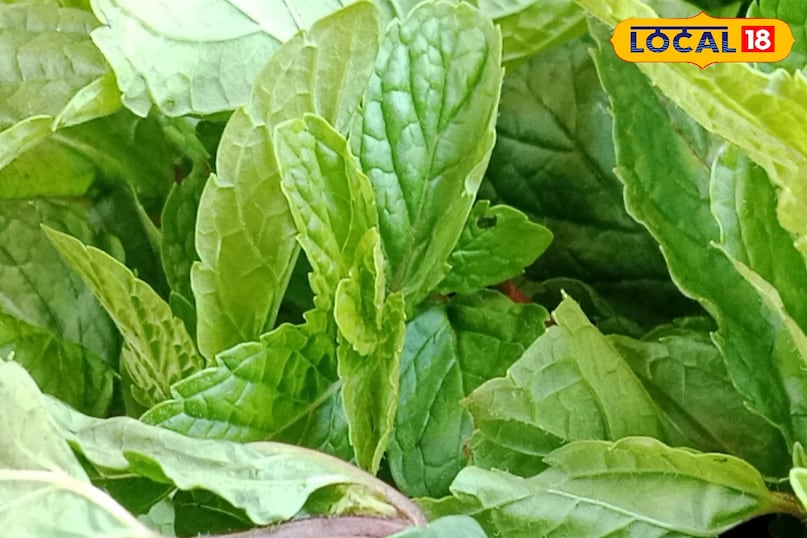 खास महत्त्व 