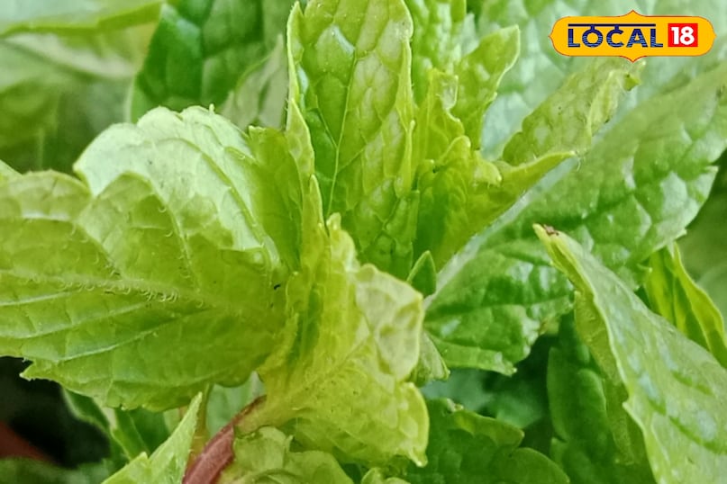 कम मेहनत में फायदा