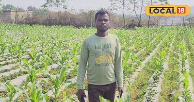 गुमला के किसान लक्ष्मण साहू स्ट्रॉबेरी की खेती कर मात्र 3 महीने की मेहनत से कमा