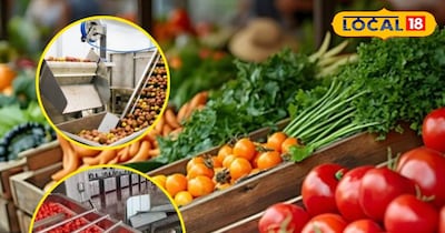 Farmers Turn Spoilage into Profit: Vegetable Processing Boosts Income, PMFME Scheme Helps