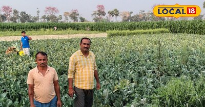 Bihar's 'Vegetable Village' Govindapur Thrives, Demands Market for Fair Prices