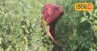 खेत में काम करती महिला