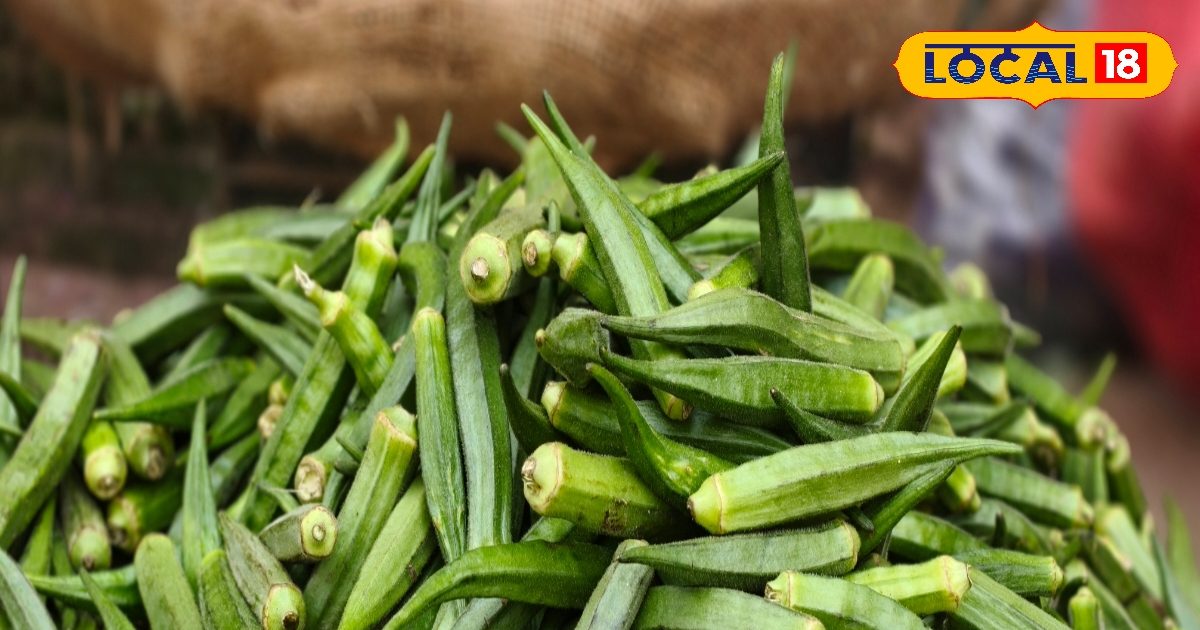 क्या आप भी भिंडी की चिपचिपाहट से है परेशान? तो इस तरह बनाएं क्रिस्‍पी और टेस्‍टी