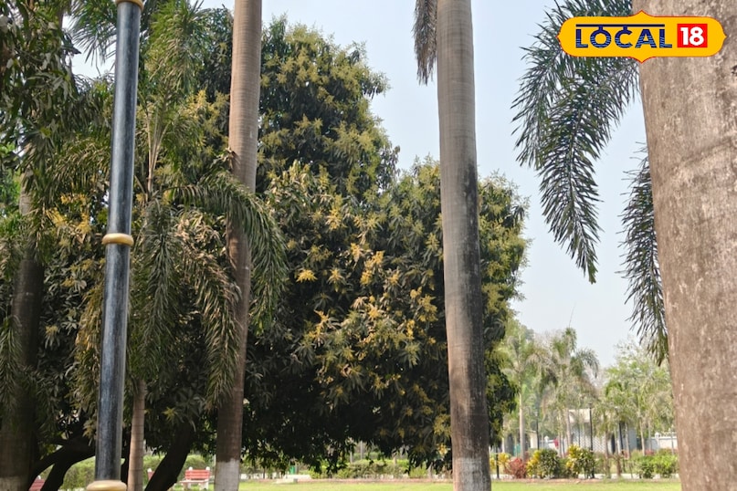 झड़ने की समस्या 