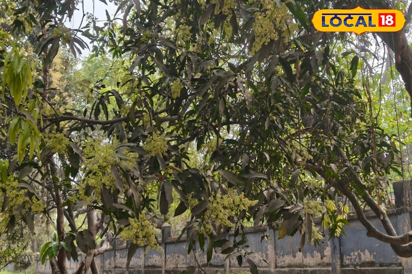 जरूरी बाते 