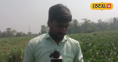 Sitamarhi's Shail Devi Transforms Tobacco Waste, Neem into Powerful Organic Pesticide