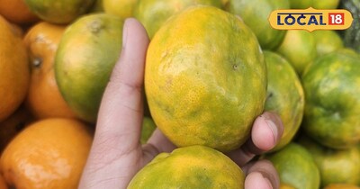 सही समय पर संतरा खाओ और सेहत का पूरा फायदा पाओ.