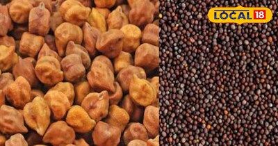 चना और सरसों की MSP पर खरीद 