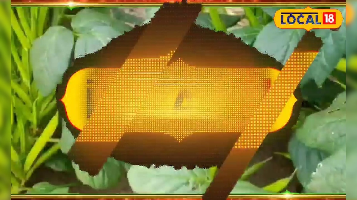 ग्वार की खेती करने वाले किसान हो जाएं सतर्क, सही देखभाल से मिलेगा ज्यादा उत्पादन और बेहतर कीमत