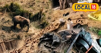 प्रतीकात्मक तस्वीर 