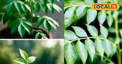 प्रतीकात्मक