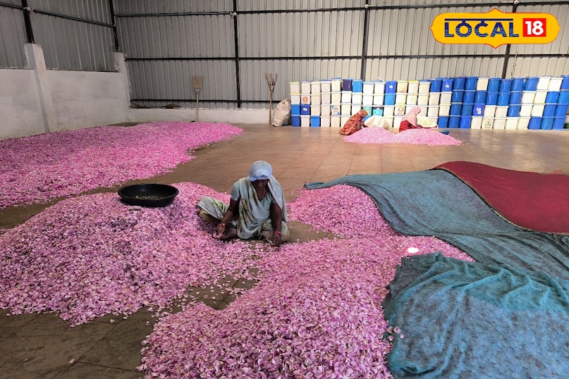 Success Story Khargone, Ankit parihar success story, Rose Farming Business khargone, Gulkand Business Idea, PMFME Scheme, local18, khargone letest news, Madhya Pradesh hindi news 