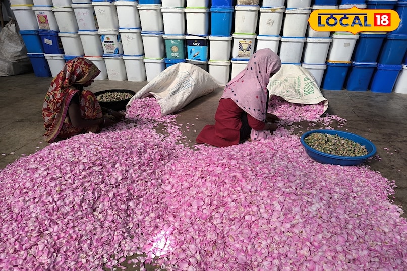 Success Story Khargone, Ankit parihar success story, Rose Farming Business khargone, Gulkand Business Idea, PMFME Scheme, local18, khargone letest news, Madhya Pradesh hindi news 