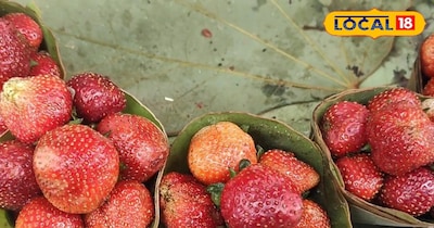 नैनीताल की स्ट्रॉबेरी काफी प्रसिद्ध थी