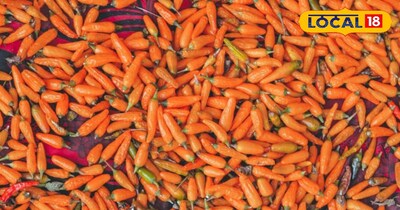 अल्मोड़ा कि प्रसिद्ध मिर्च 