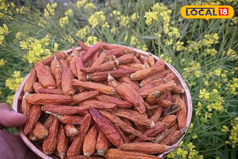 Decline of cultivation 