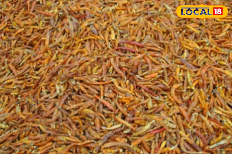 Connection with pahadi culture 