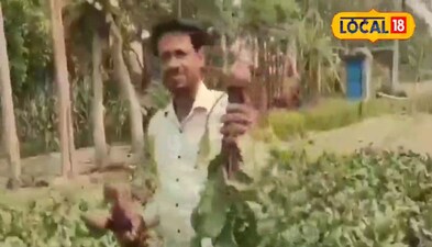 युवा किसान भी खेती किसानी में कर रहे हैं बेहतर