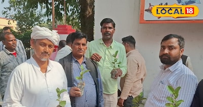 ताइवान पिंक अमरूद की खेती!