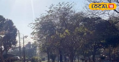 हरियाणा में गर्मी की दस्तक, मौसम विभाग ने दी अगले दिनों की जानकारी