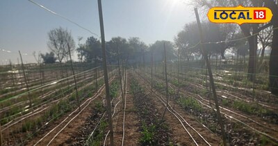 इजरायल तकनीक 