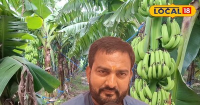 G9 केले की उन्नत वैरायटी!