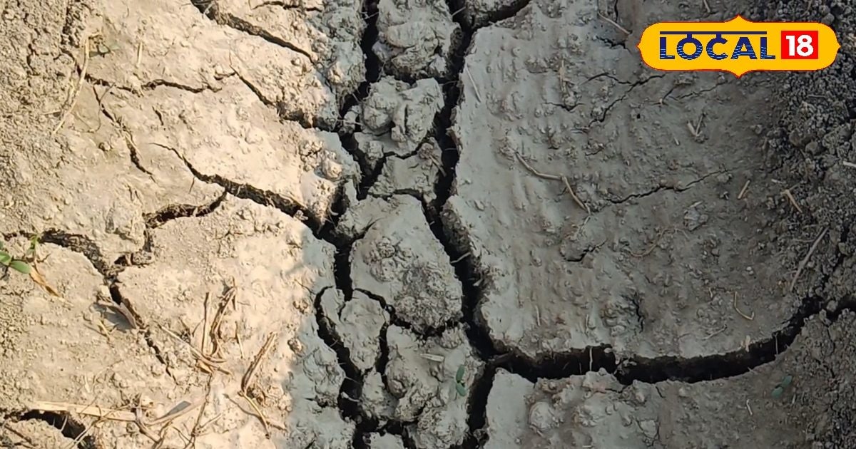 कितना भी खाद डालो, नहीं बढ़ रही पैदावार? कहीं आपके खेत में ये समस्या तो नहीं, 110 रुपये में करें पता