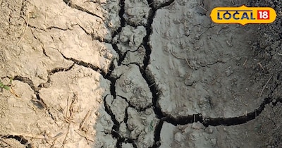 मिट्टी की जांच 