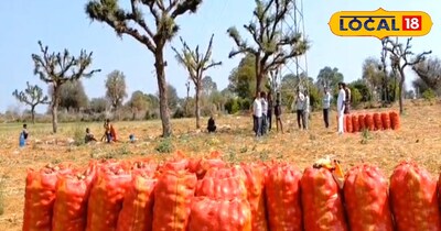 सीकर प्याज भाव न्यूज़ 2026