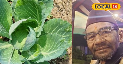 गोभी में नमक का पानी डालने के फायदे 