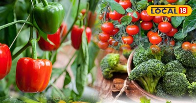 एक्जोटिक सब्जियां 