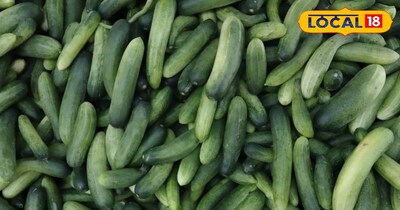 डीग गांव में किसान ने उगाया हाइब्रिड खीरा.