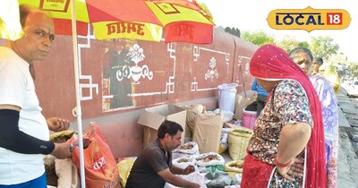 Khejri tree Rajasthan
