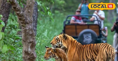 पीलीभीत में घूमने की जगहें 