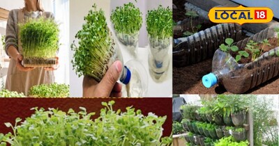 बोतल में खेती 