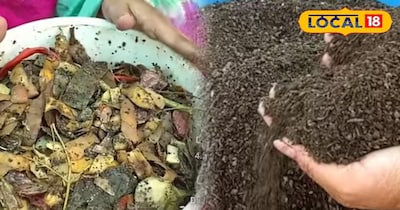 गार्डनिंग टिप्स