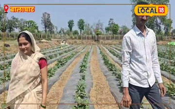 कपल की खेती