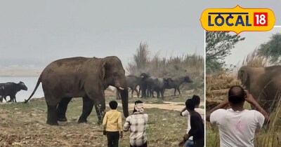 प्रतीकात्मक तस्वीर