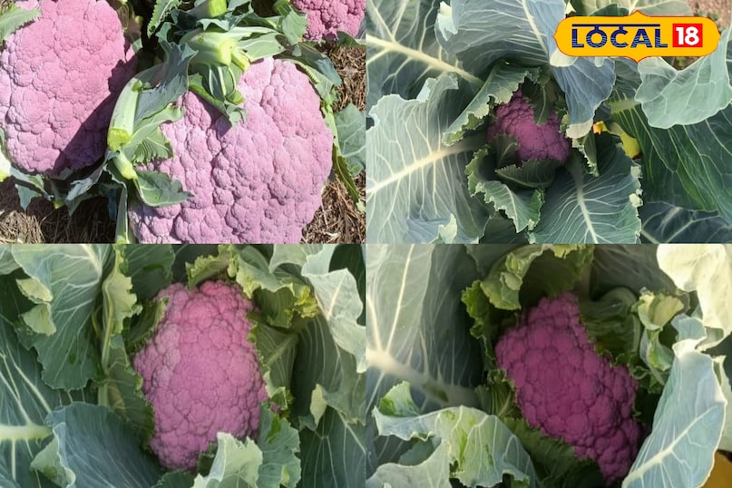 হাড় মজবুত করতে সহায়ক