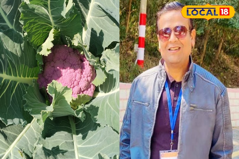 হার্টের স্বাস্থ্যের জন্য উপকারী