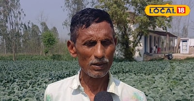 गर्मी में भी बंपर पैदावार देती है यह फूलगोभी, 2 किलो तक वजन और 5 हजार लागत 60 हज