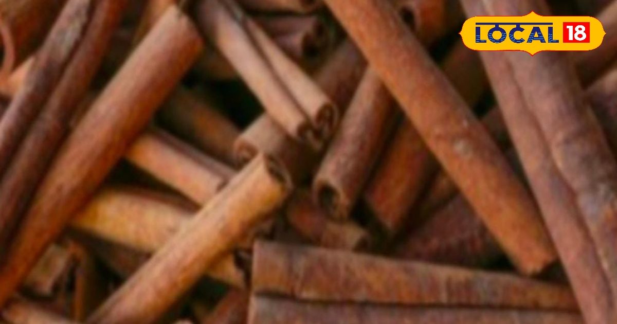 सेहत के लिए चमत्कारी औषधि है ये मसाला, मोटापा-डायबिटीज के लिए रामबाण, और भी हैं फायदे